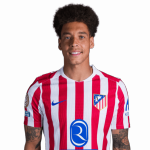 Axel Witsel