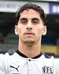 Ludovit Reis