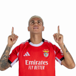 Enzo Barrenechea