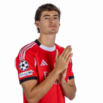 António Silva