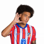 Axel Witsel