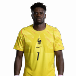 Brice Samba