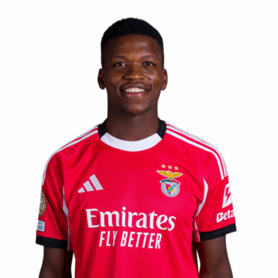 Florentino Luis