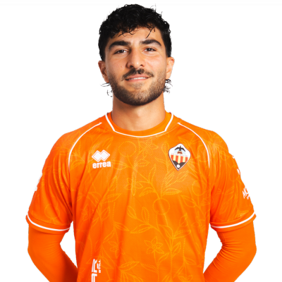 Amir Abedzadeh